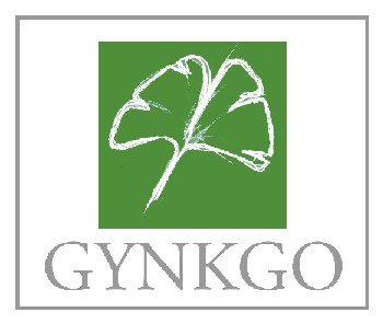 Gynkgo Ingenieros